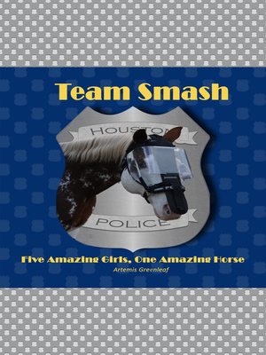 cover image of Team Smash